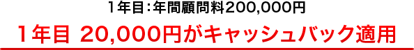 1年目：年間顧問料210,000円 / 21,000円がキャッシュバック適用